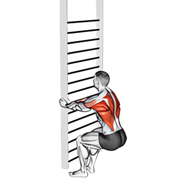 bodyweight squatting row