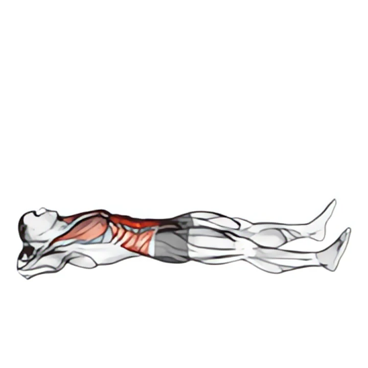 prisoner half sit-up (male)