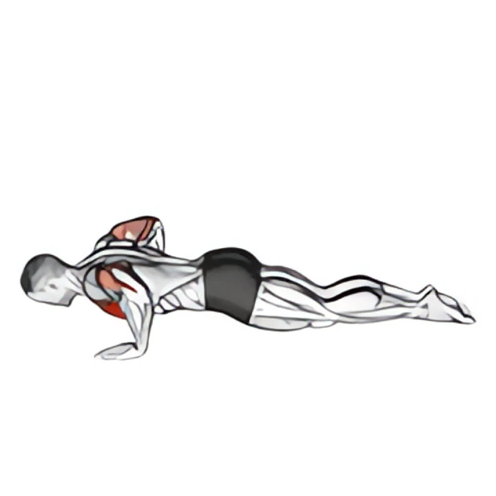 kneeling push-up (male)
