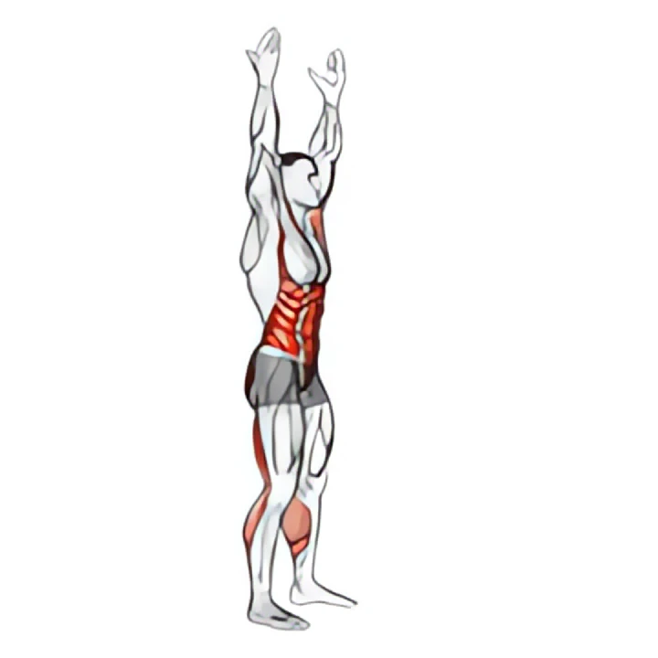 arms apart circular toe touch (male)