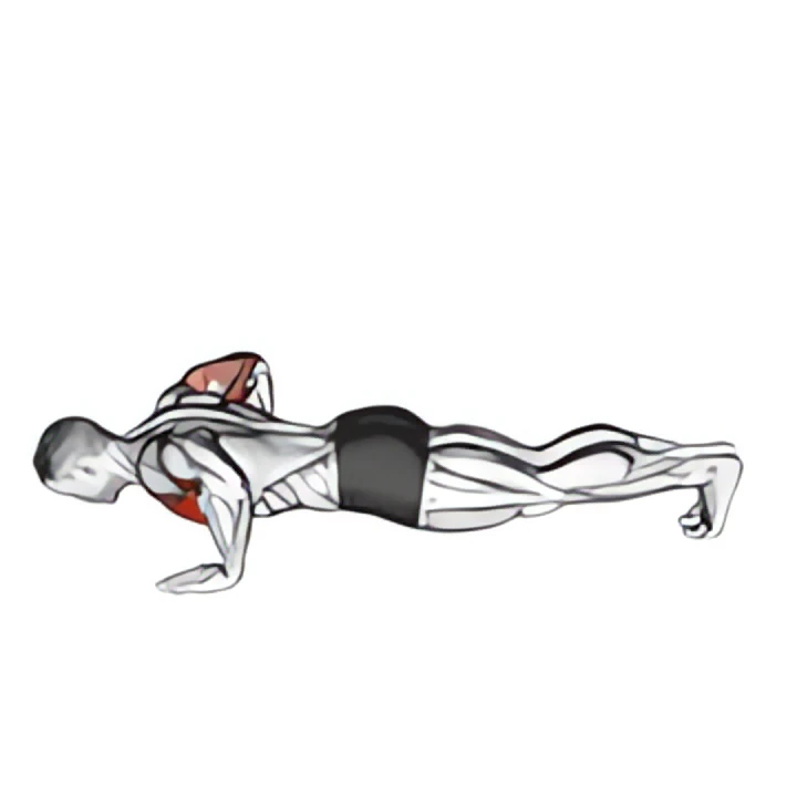 chest tap push-up (male)