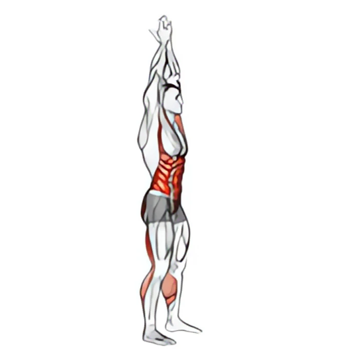 hands clasped circular toe touch (male)