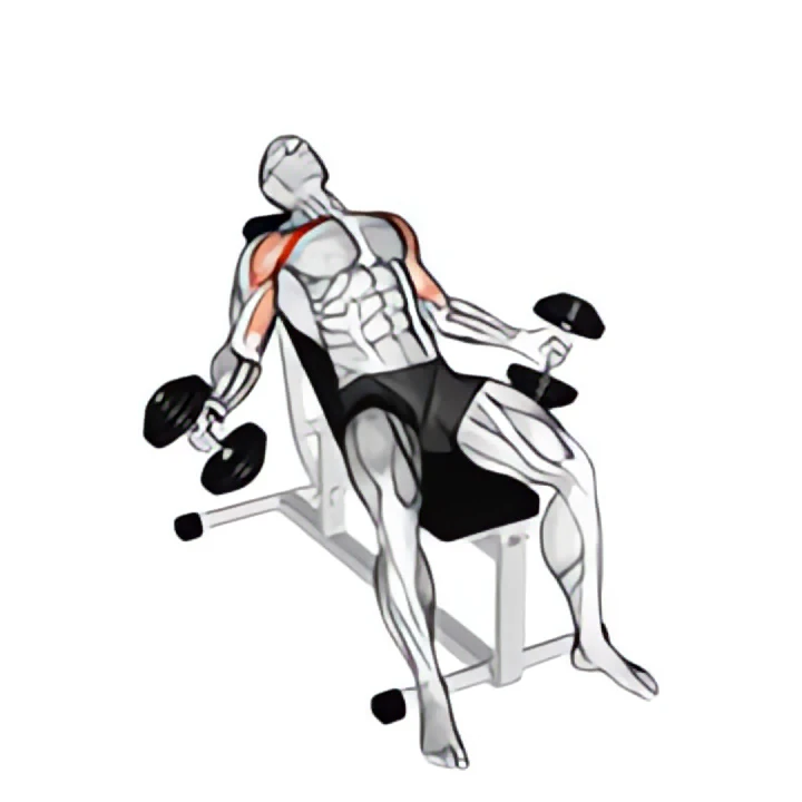 hyght dumbbell fly