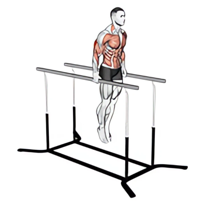 elbow dips