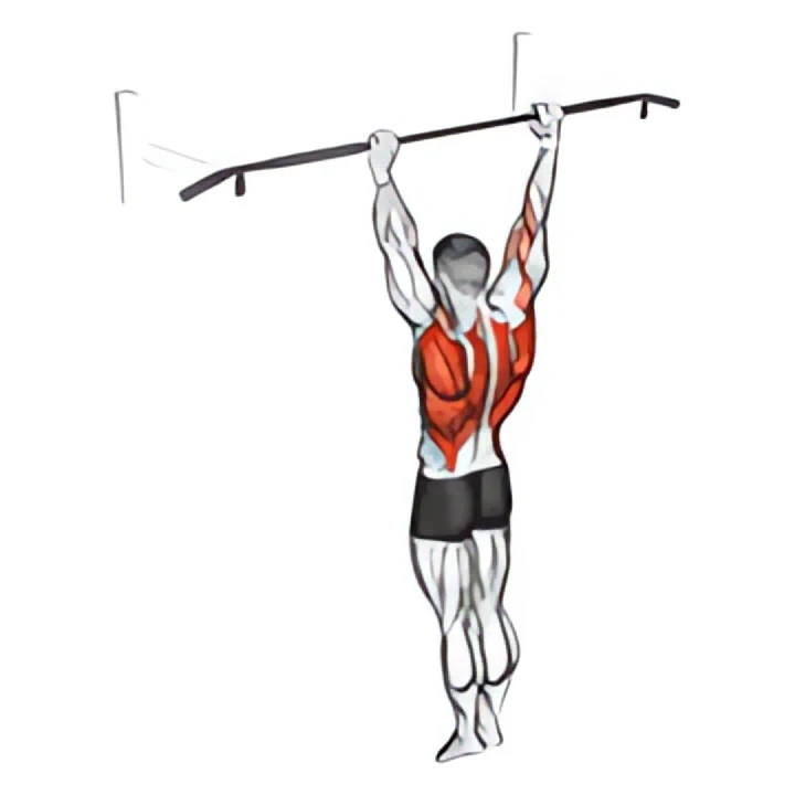 archer pull up