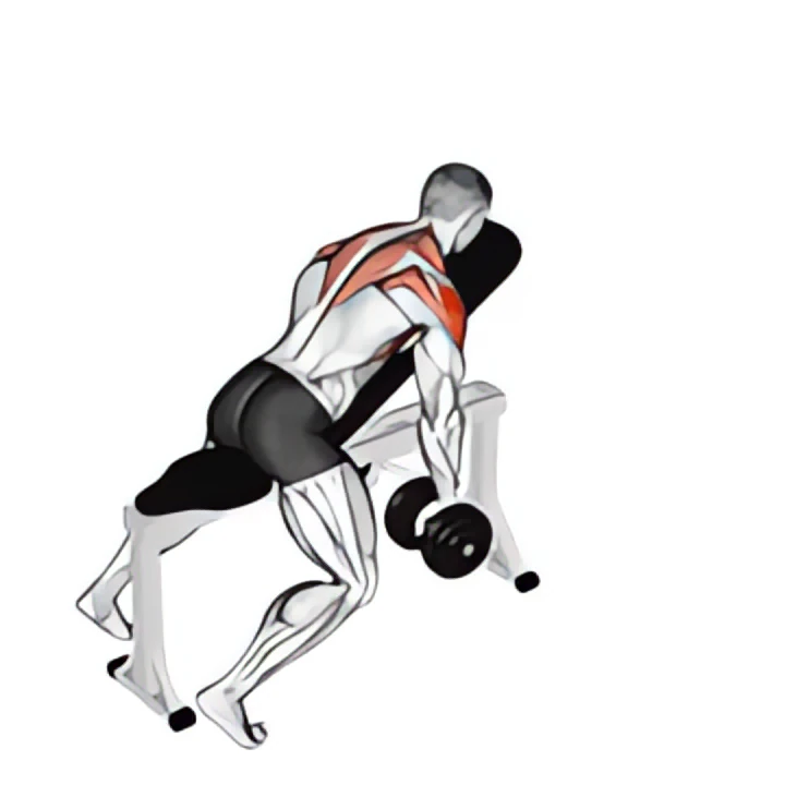 dumbbell incline y-raise