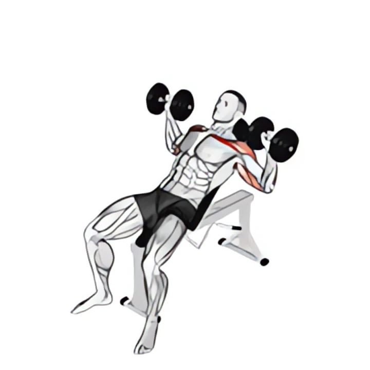 dumbbell incline alternate press