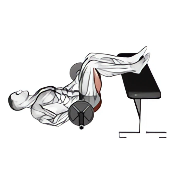 barbell glute bridge two legs on bench (male)