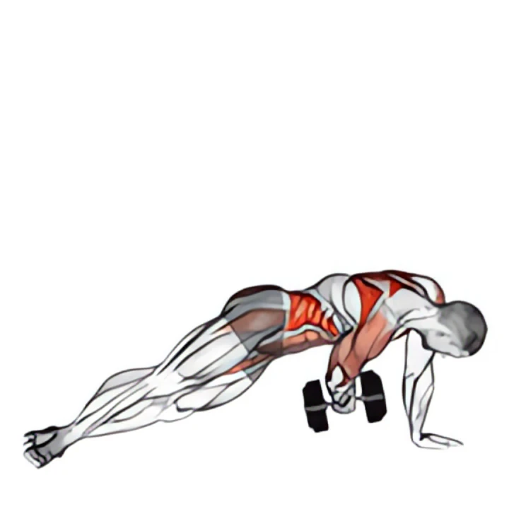 dumbbell side plank with rear fly