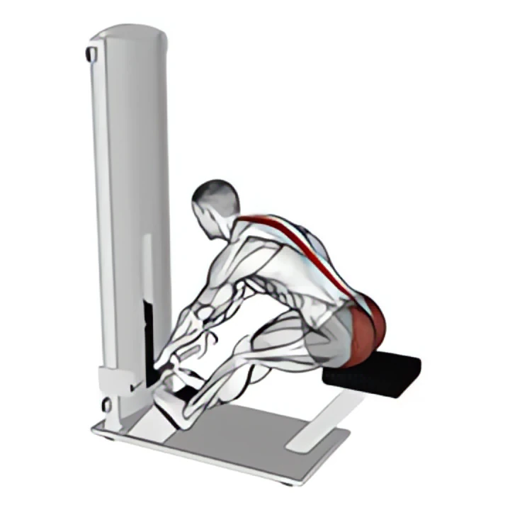 lever seated good morning