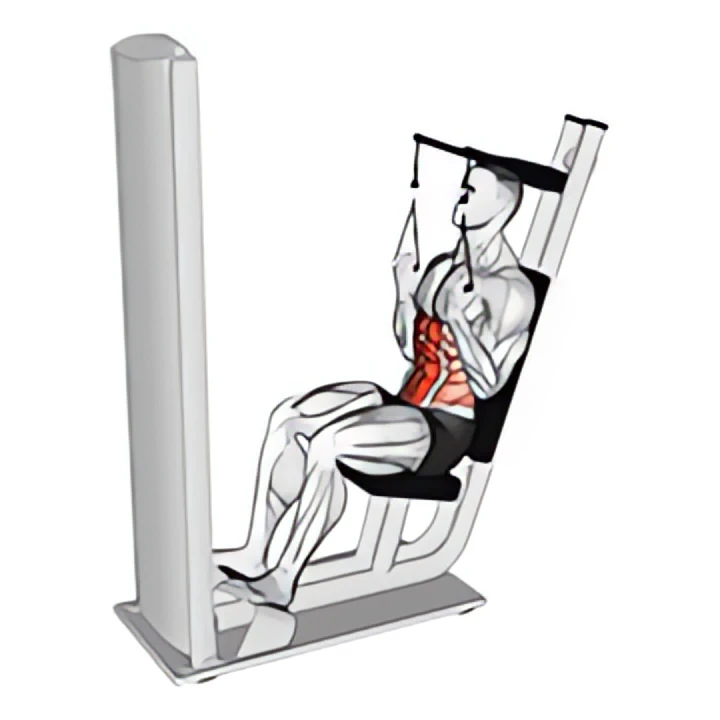 lever seated crunch v. 2